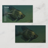 Schwarzer Crappie Visitenkarte (Vorne/Hinten)