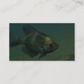 Schwarzer Crappie Visitenkarte (Rückseite)