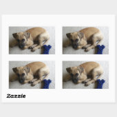 Schwarzer Cur-Hündchen mit blauem Spielzeug Rechteckiger Aufkleber (Blatt)