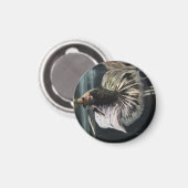 Schwarzer Dalmatiner Magnet (Vorderseite/Rückseite)