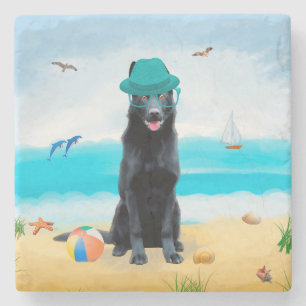 Schwarzer deutscher Schäferhund am Strand Steinuntersetzer