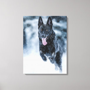 Schwarzer Deutscher Schäferhund im Schnee Bettbezu Leinwanddruck