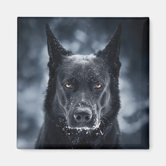 Schwarzer Deutscher Schäferhund Magnet (Vorne)