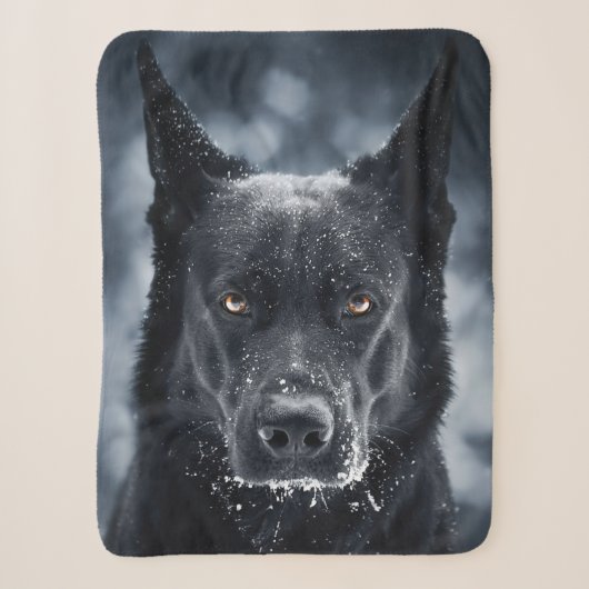 Schwarzer Deutscher Schäferhund Sherpadecke (Vorderseite)