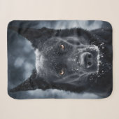 Schwarzer Deutscher Schäferhund Sherpadecke (Vorderseite (Horizontal))