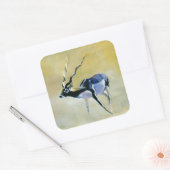 Schwarzer Dollar Velavadar 1997 Quadratischer Aufkleber (Umschlag)