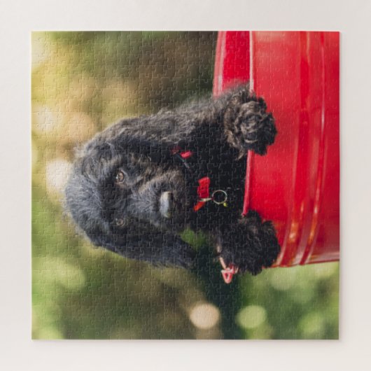 Schwarzer Doodle Welpe in einem roten Eimer Puzzle (Vertikal)