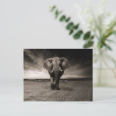 Schwarzer Elefant Postkarte (Stehend Vorderseite)