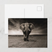 Schwarzer Elefant Postkarte (Vorne/Hinten)