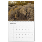 Schwarzer Felsen-Wüste Playa Kalender 2013-2014 (Mär 2027)