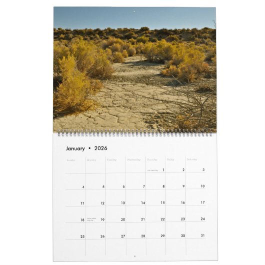 Schwarzer Felsen-Wüste Playa Kalender 2013-2014 (Jan 2026)