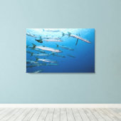 Schwarzer Fisch-Barracuda-Schule (Sphyraena qenie) Leinwanddruck (Insitu (Holzboden))