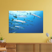 Schwarzer Fisch-Barracuda-Schule (Sphyraena qenie) Leinwanddruck (Insitu (Wohnzimmer))