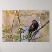 Schwarzer Foto Poster (Vorne)