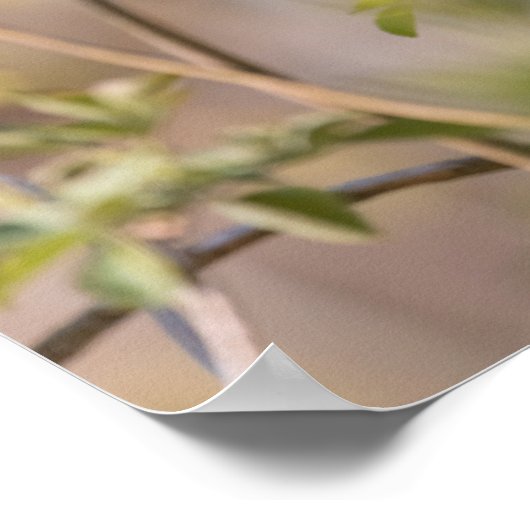 Schwarzer Foto Poster (Ecke)