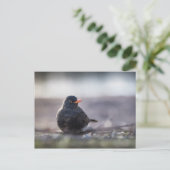 Schwarzer Foto Postkarte (Stehend Vorderseite)