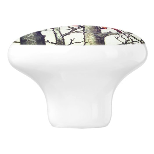 Schwarzer Fox Foxes Forest Woodland Drawing Pull Keramikknauf (Seitenansicht)