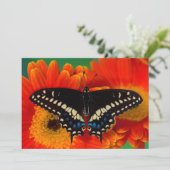 Schwarzer Frack-Schmetterling auf Gerberia Dankeskarte (Stehend Vorderseite)