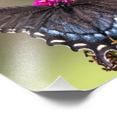 Schwarzer Frack-Schmetterling Fotodruck (Ecke)