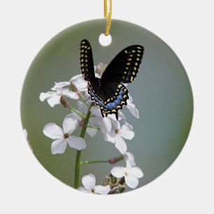 Schwarzer Frackschmetterling Keramik Ornament