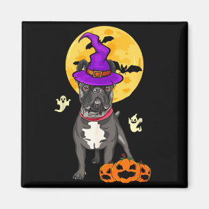 Schwarzer Französische Bulldogge Hexe Halloween Ko Magnet