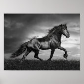 Schwarzer Friesischer Stallion Prancing durch das  Poster (Vorne)