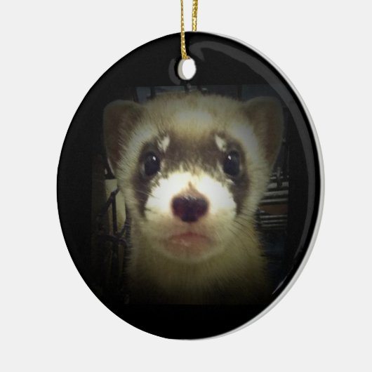 Schwarzer Fußspur - Ornament 2011 (Links)