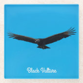 Schwarzer Geier Glasuntersetzer (Vorderseite)