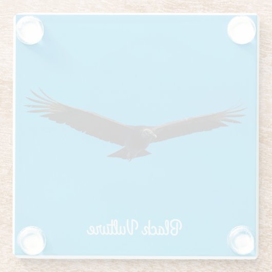 Schwarzer Geier Glasuntersetzer (Rückseite)