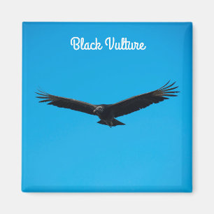 Schwarzer Geier Magnet