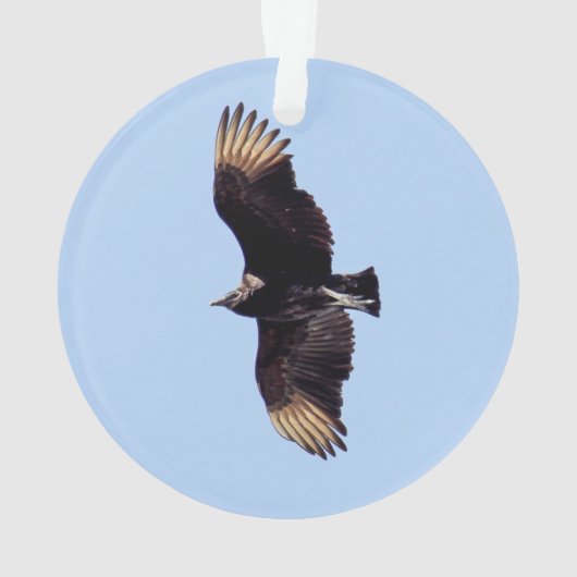 Schwarzer Geier Ornament (Rückseite)