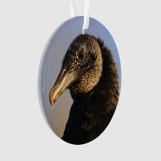 schwarzer Geier Ornament (Vorderseite)