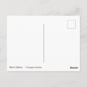 Schwarzer Geier Postkarte (Rückseite)