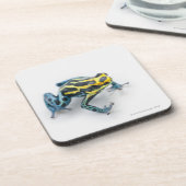 Schwarzer, gelber und blauer Gift-Pfeil-Frosch Untersetzer (Linke Seite)