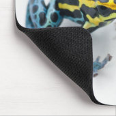 Schwarzer, Gelber und Blauer Giftfrösch Mousepad (Ecke)