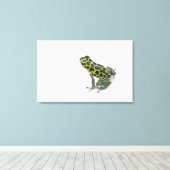 Schwarzer Gepunktet-grüner Gift-Dart-Frosch Leinwanddruck (Insitu (Holzboden))