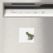 Schwarzer Gepunktet-grüner Gift-Dart-Frosch Magnet (In Situ (Geschirrspüler))