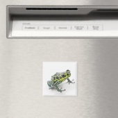Schwarzer Gepunktet-grüner Gift-Dart-Frosch Magnet (In Situ (Geschirrspüler))