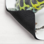 Schwarzer Gepunktet-grüner Gift-Dart-Frosch Mousepad (Ecke)