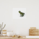Schwarzer Gepunktet-grüner Gift-Dart-Frosch Poster (Küche)