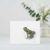 Schwarzer Gepunktet-grüner Gift-Dart-Frosch Postkarte (Stehend Vorderseite)