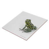 Schwarzer gepunkteter grüner Gift-Pfeil-Frosch Fliese (Seite)