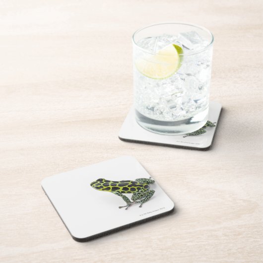 Schwarzer gepunkteter grüner Gift-Pfeil-Frosch Getränkeuntersetzer (Rechte Seite)