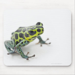 Schwarzer gepunkteter grüner Gift-Pfeil-Frosch Mousepad