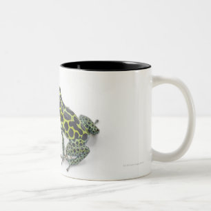 Schwarzer gepunkteter grüner Gift-Pfeil-Frosch Zweifarbige Tasse