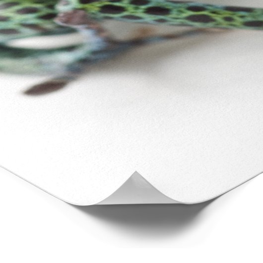 Schwarzer Gepunkteter Grüner Giftfrosch (Ranitomey Poster (Ecke)