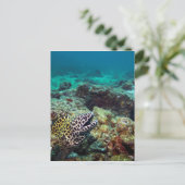 Schwarzer gepunkteter Morgenaal Postkarte (Stehend Vorderseite)