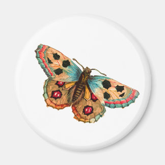 Schwarzer Gepunkteter Schmetterling Magnet