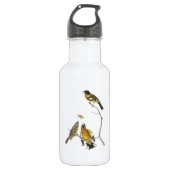Schwarzer Grosbeak von Audubon Trinkflasche (Vorderseite)
