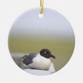 Schwarzer Gull-Ornament Keramik Ornament (Vorne)